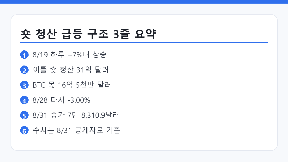 비트코인 급등 이유와 숏 청산 규모를 정리한 요약 인포그래픽 카드